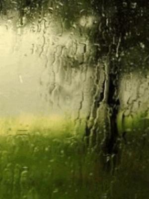 Animated Rain2.jpg